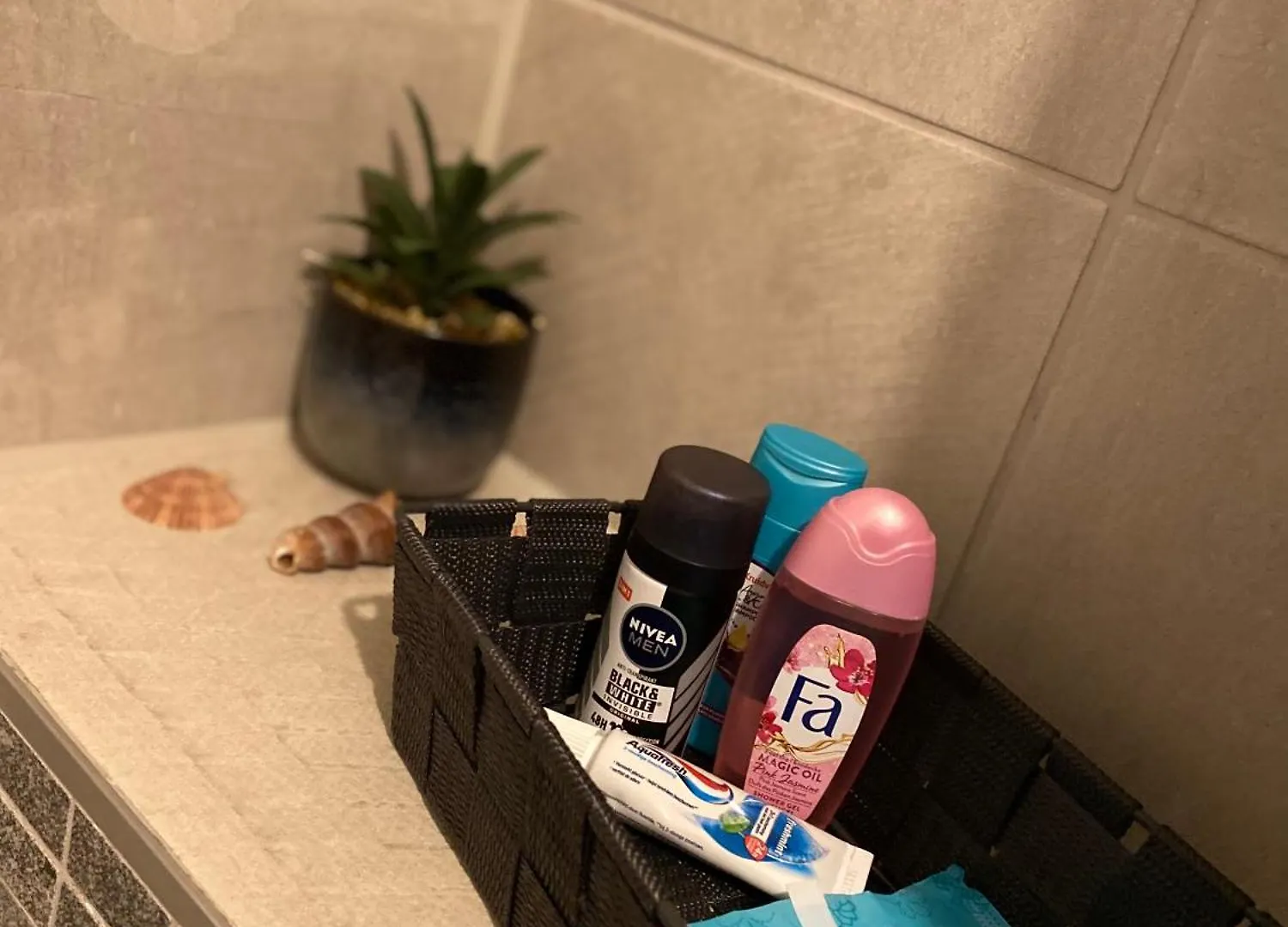 Zwarte Arend Airbnb 安特卫普
